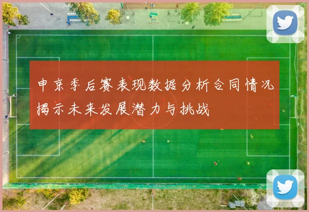 申京季后赛表现数据分析合同情况揭示未来发展潜力与挑战
